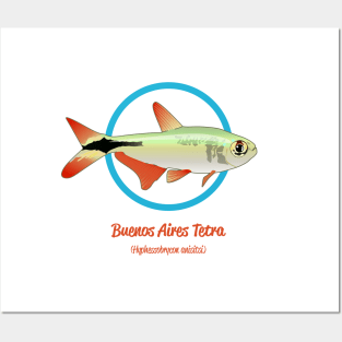 Buenos Aires Tetra Posters and Art